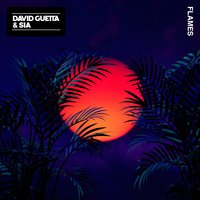 David Guetta & Sia - Flames