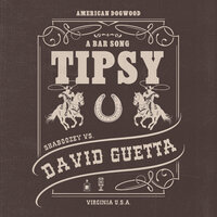 Shaboozey & David Guetta - A Bar Song (Tipsy)